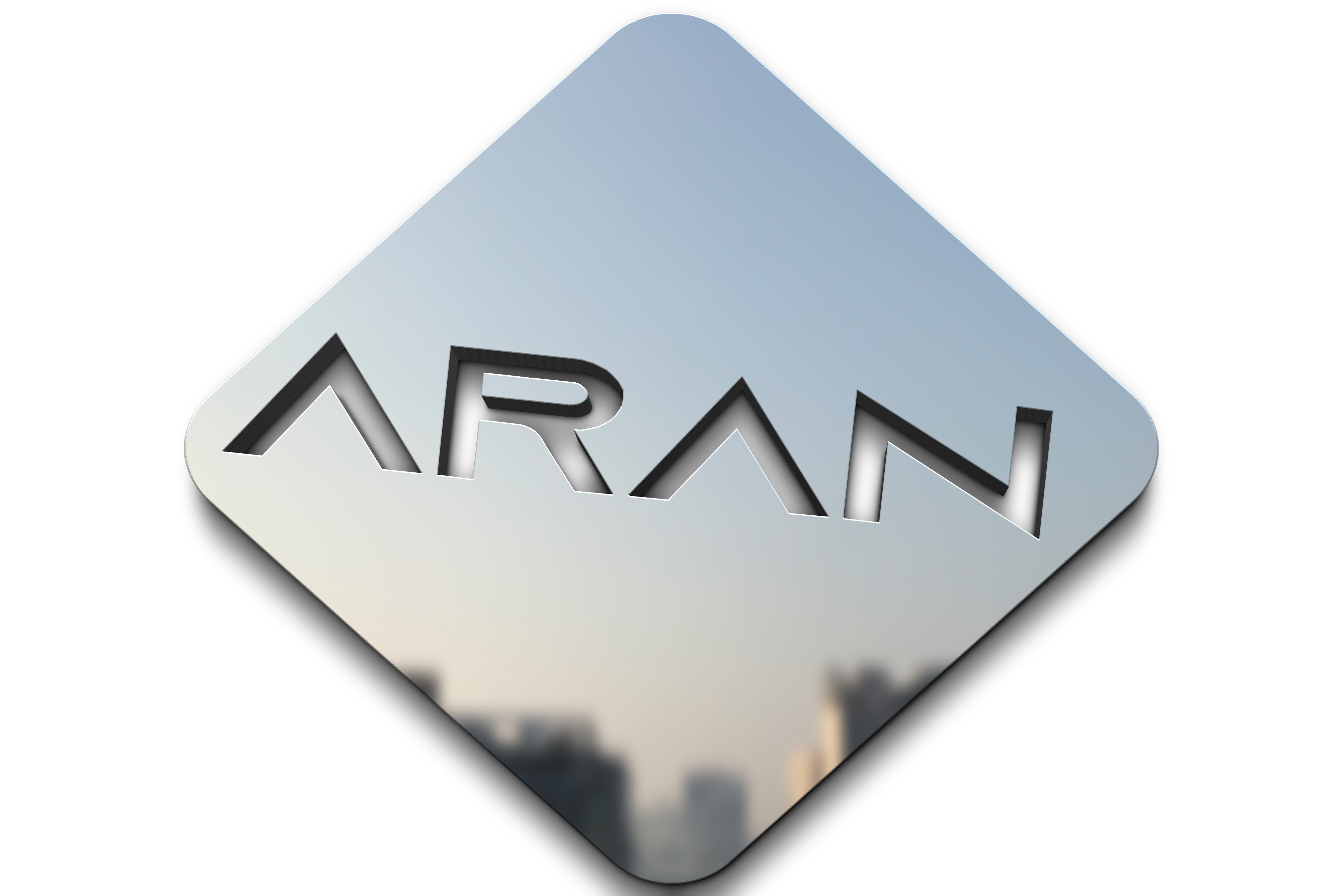 ARAN Agency Web